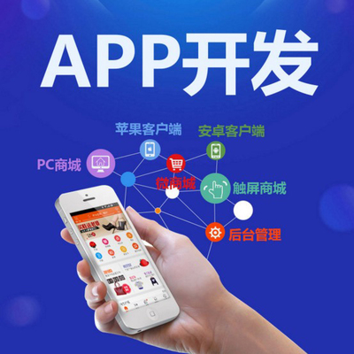 APP定制开发 多功能多技术结合开发