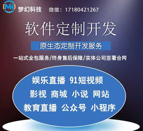 东莞即时通讯软件定制开发公司一站式开发服务 梦幻网络