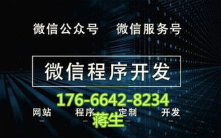 麦点商城模式系统制定