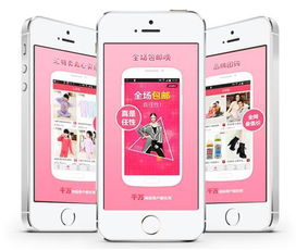 如何评估电商app外包开发的价格