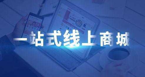 开发定制商城比较好的公司