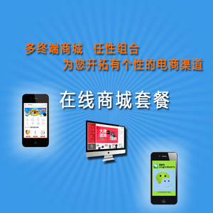 网络商城开发简易ERP系统 宝乐电商产品功能目录会员中心行业定制优惠价20.00元,UED设计精心为您挑选-麦尔网购导航-网购宝